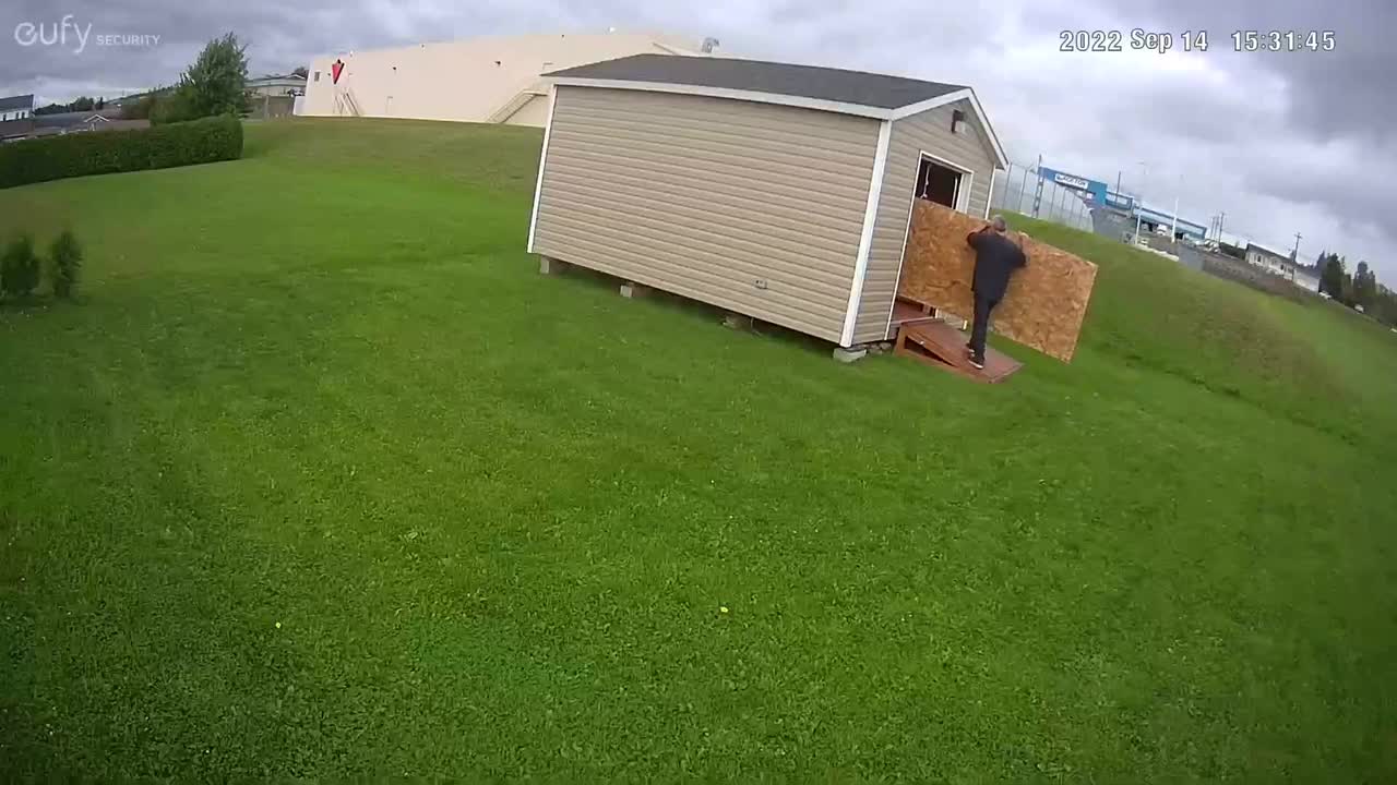 Bringing supplies to finish the inside of the shed