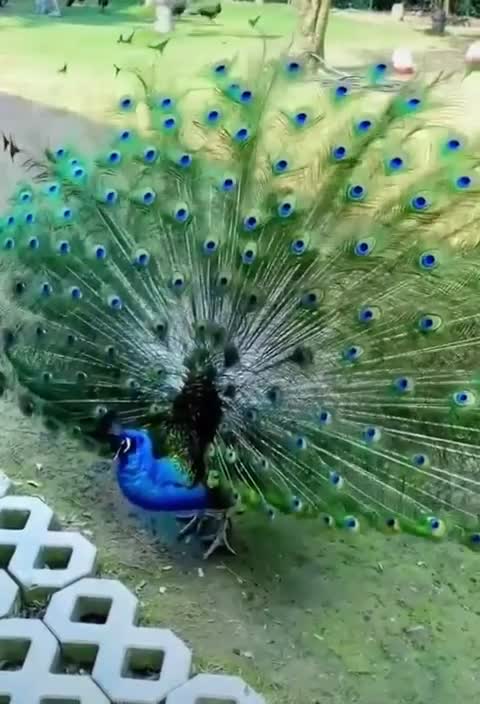 The most beautiful thing in the world