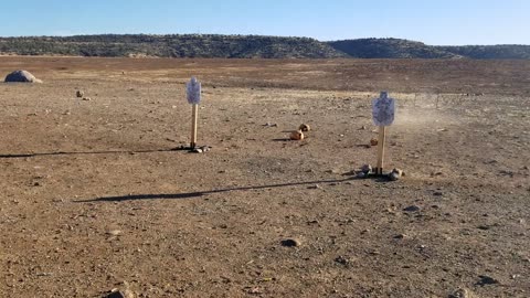 Redding 11/26/20 - Dave with AR15 vid2