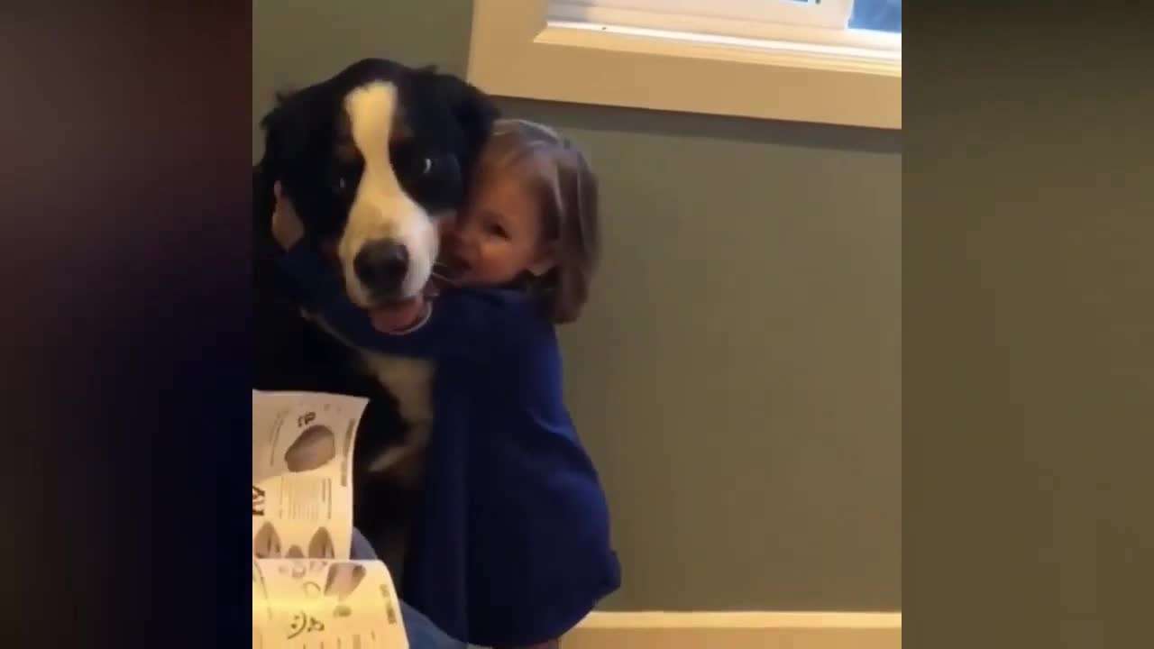 Kid's best friend - part 2