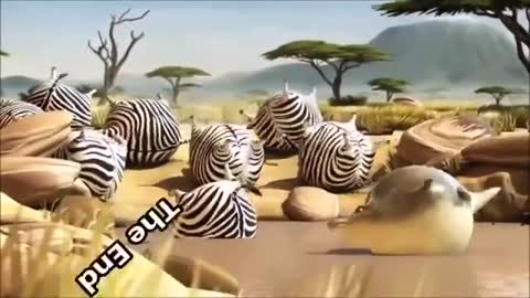 Animais gordinhos engraçados, animation