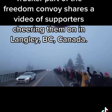 Canadian trucker part of the freedom convoy shares a video