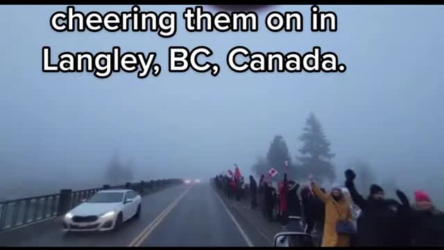 Canadian trucker part of the freedom convoy shares a video