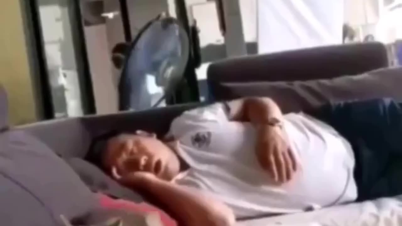 A cat is afraid of its owner's snoring😹😴