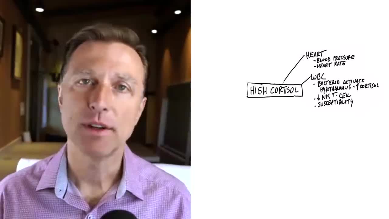 DrBerg-The Secret To Being Calm When Stressed With High Cortisol