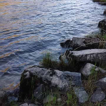 3 fish from the mailbox