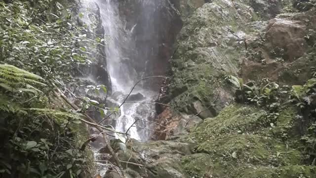 cachoeira na serra de santos