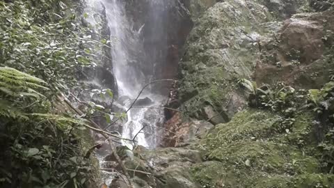 cachoeira na serra de santos