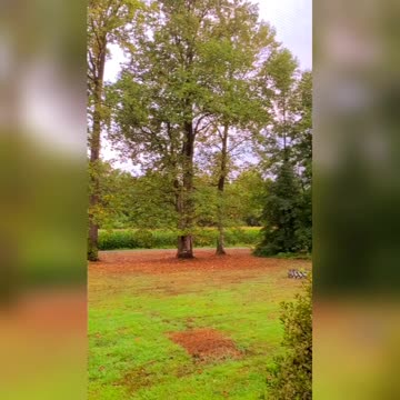 Morning Moment In Nature