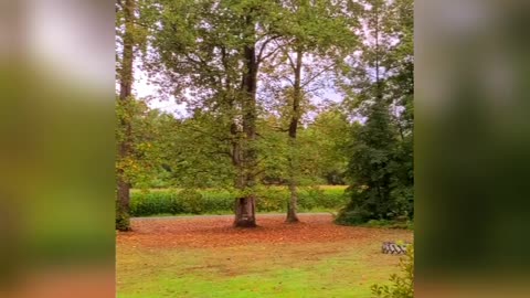 Morning Moment In Nature
