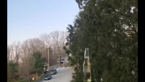 Quarantine Drink Delivery