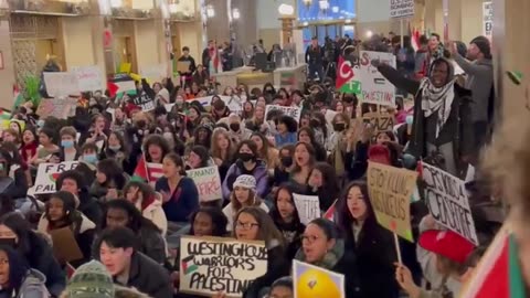 Ceasefire protesters shut down Chicago city hall