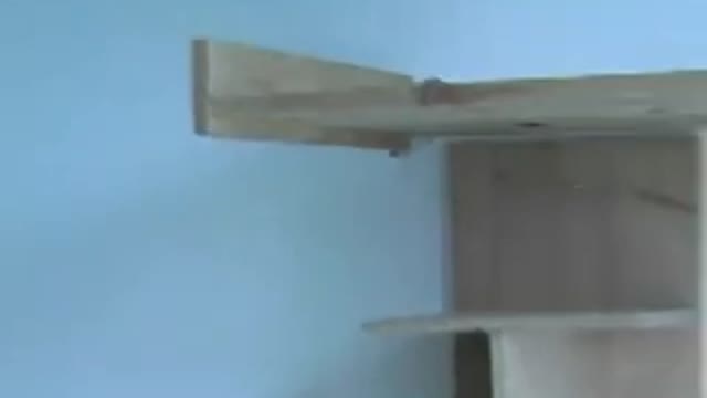 Ötletház a Redless-szel