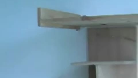 Ötletház a Redless-szel