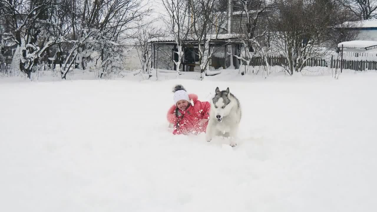 Young girl playing with siberian husky malamute dog on the snow outdoors in winter forest park