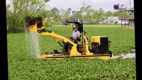 Eco-Friendly Aquatic Vegetation Removal - (337) 279-7697