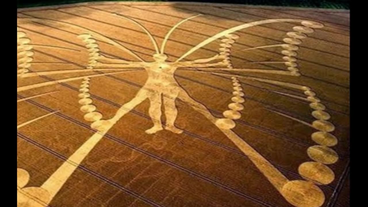 The Beautiful World of Crop Circles