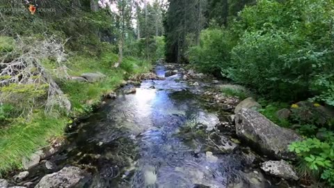 Favorite relaxing river 1