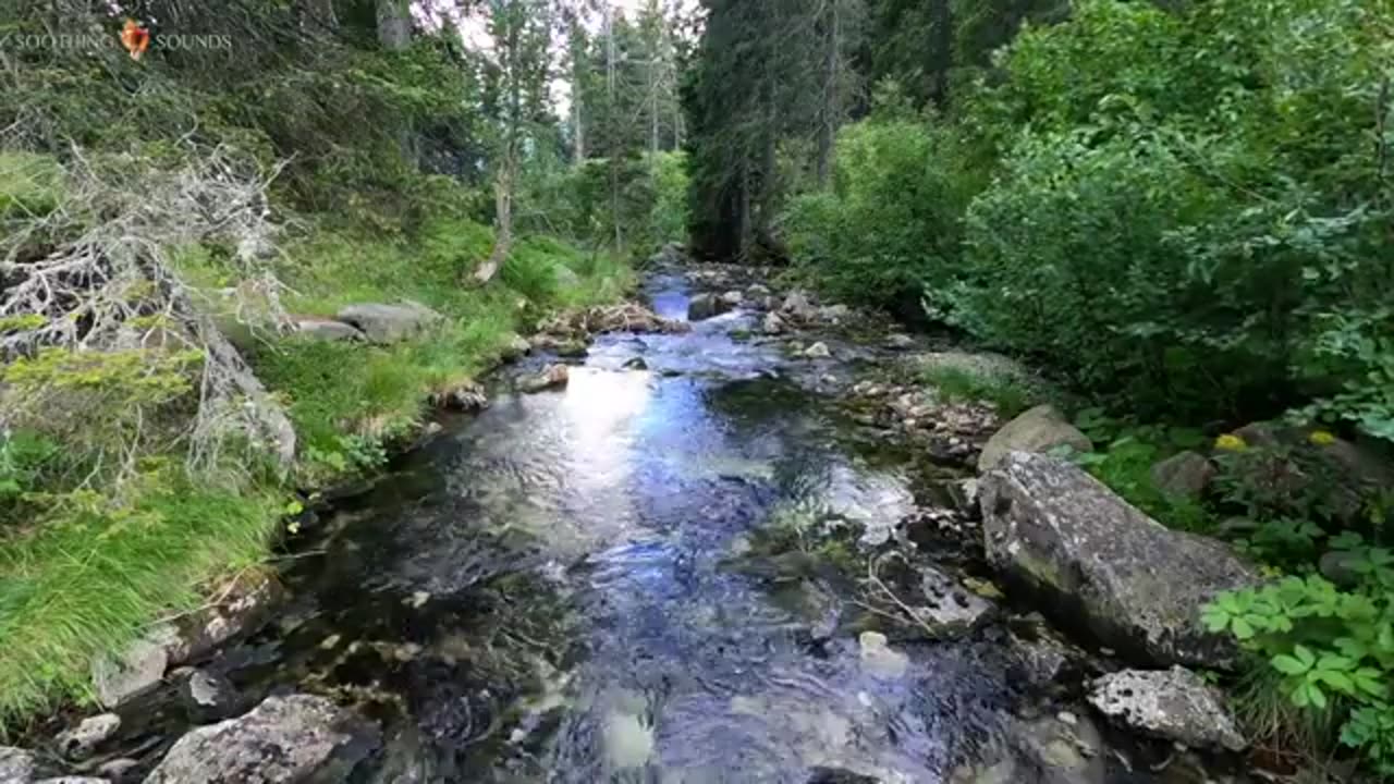 Favorite relaxing river 1