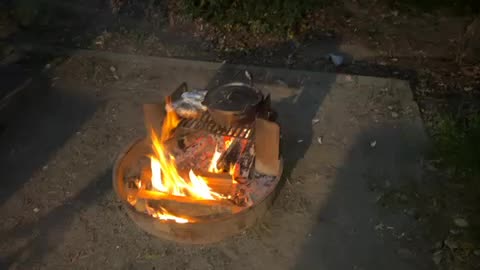 Live - Camp Night