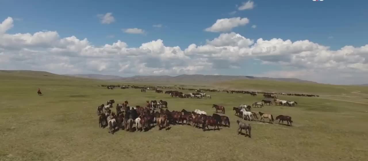(5) migration of horses