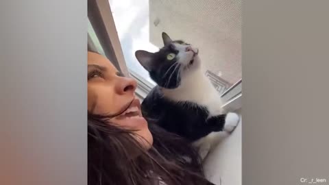 Cats are more affectionate than you might think😍