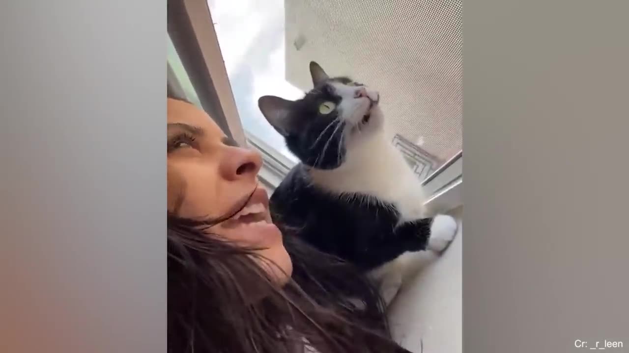 Cats are more affectionate than you might think😍
