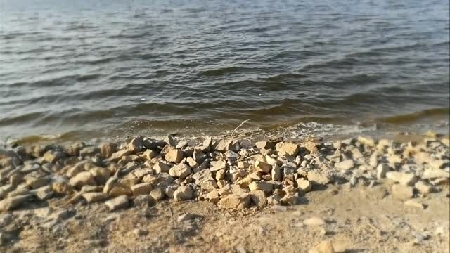 Tourist Records His Nature Trip In Qarun Lake Faiyum