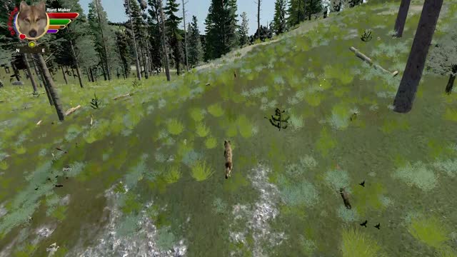 Mimic's Wolfquest AE all single player achievements - 30