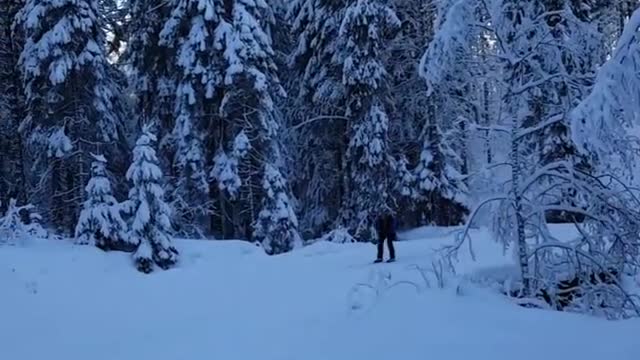 Collab copyright protection - skiing round corner fall down