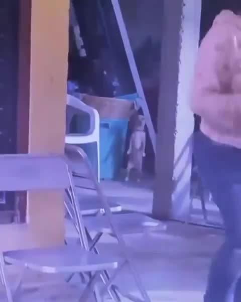 look at the backgrond