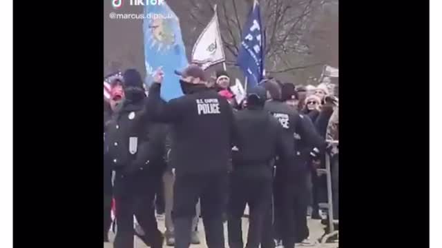 Capitol Police Open Gates and Allow Protesters to go into the Capitol.