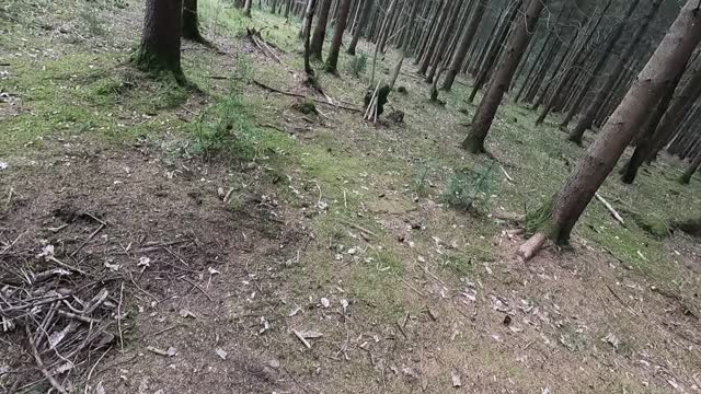 This was where the fire pit was leave no trace blooper