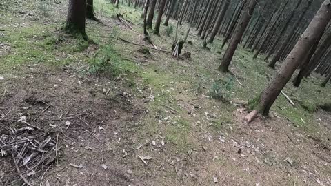 This was where the fire pit was leave no trace blooper