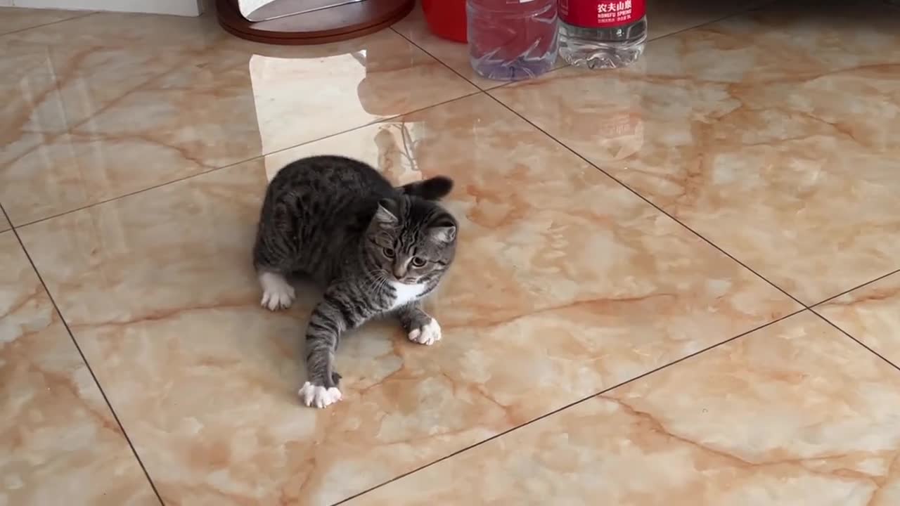 It's a little technical