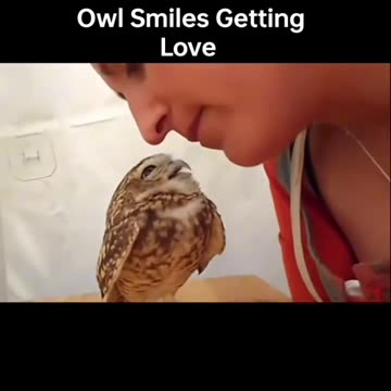 Little Owl Smiles Thanks To Love Vibration 💚