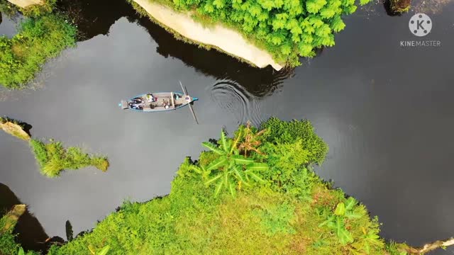 The boat is going in the Sundar river.