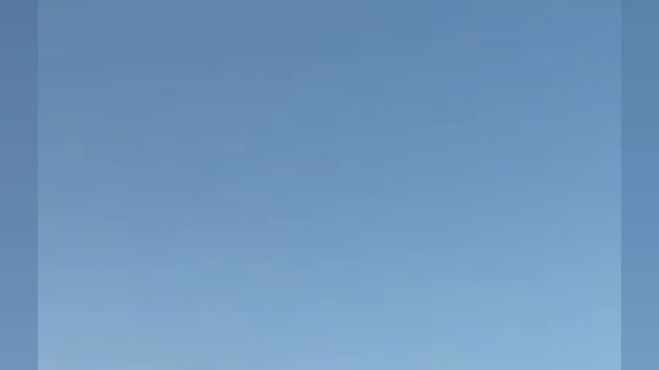 Incoming Duck