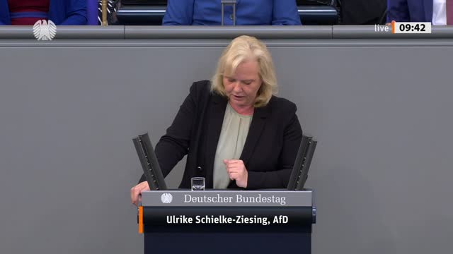 Ulrike Schielke-Ziesing Rede vom 03.06.2022 - Arbeit und Soziales, Mindestlohn