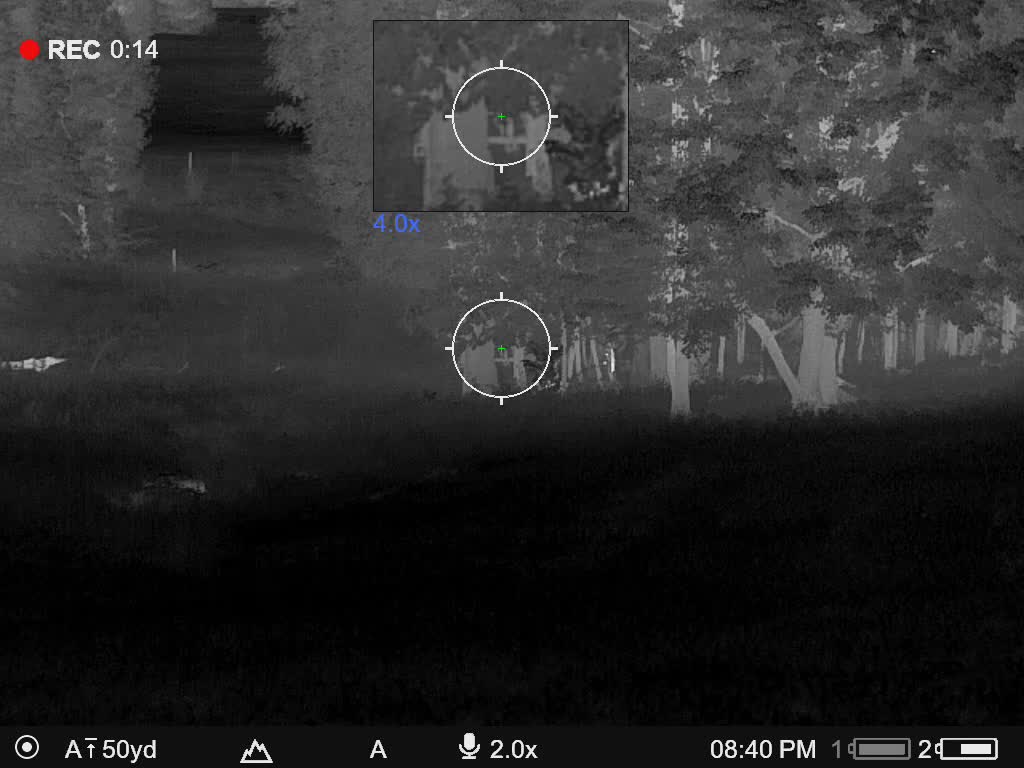 Male Coyote of Pair 7-15-22