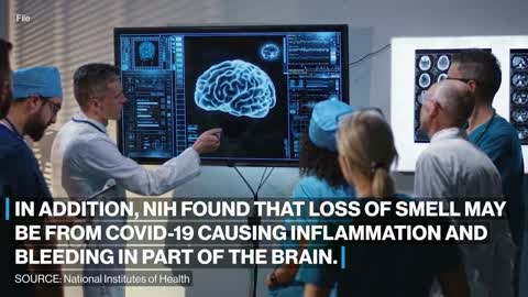 How COVID-19 causes loss of smel