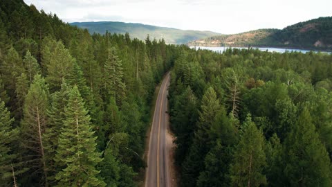 A road in the middle of a forest