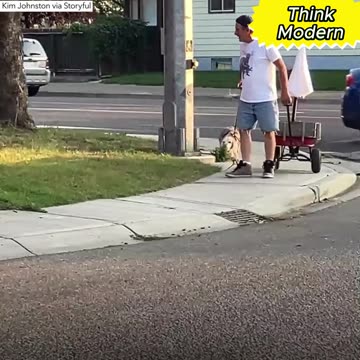 Dog owner has clever solution for when senior pup gets tired on walks