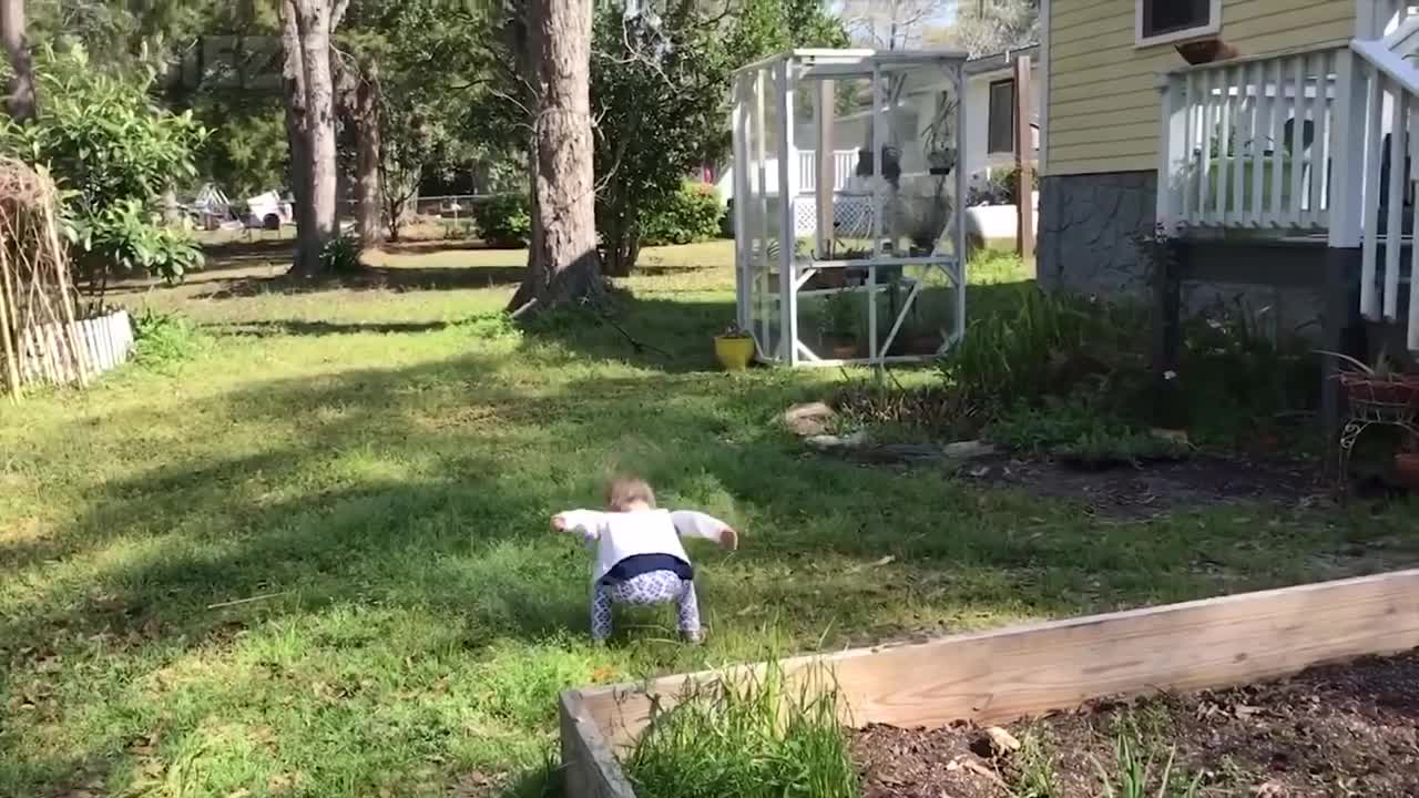 Adorable baby playing with Dogs and CAT