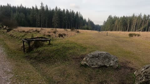 Fernworthy stone circles. Dartmoor.