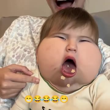 funny|prank|jokes|funny jokes|dad jokes|funny memes|funny video|fun|laughing|funny animal|knock