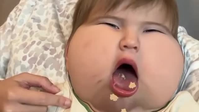 funny|prank|jokes|funny jokes|dad jokes|funny memes|funny video|fun|laughing|funny animal|knock
