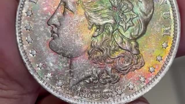 Beautiful Toned Morgan Dollar