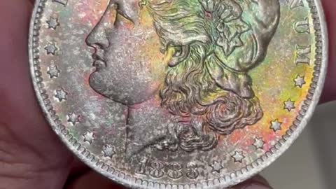 Beautiful Toned Morgan Dollar