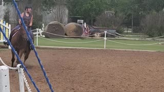 Horse Riding Flatwork